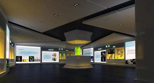 設(shè)計(jì)制作金屬結(jié)構(gòu)博物館展柜 深圳展柜制作工廠與商業(yè)策劃創(chuàng)意服務(wù)