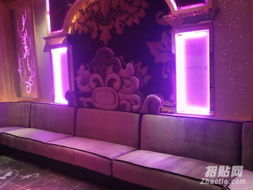 從定制椅套到網(wǎng)吧專用 北京椅套沙發(fā)套全面解析